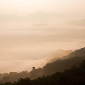 Meet your Posher, Norman